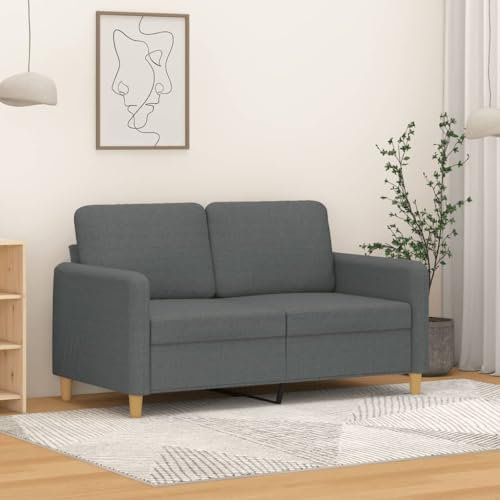 Xichuzi 2-Sitzer-Sofa Dunkelgrau 120 cm Stoff, Loungesofa, Sofas & Couches, Relaxsofa, Couch für Wohnzimmer, 359471