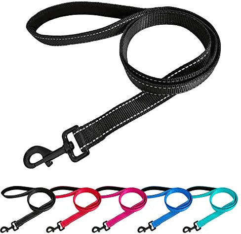 Beshine Padded Handle Dog Lead, 1.2m x 2cm Durable Reflective Nylon Dog Leash for Small, Medium Dogs, Black