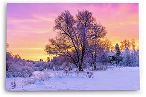 Paul Sinus Wandbild 120x80cm Baum im Winter Schnee Sonnenuntergang Natur Wald