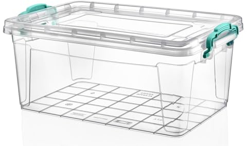 Best House | Plastic Storage Box with Lids | Size 10L (L:42.8cm W:27.8cm H:13.7cm) | Set of 1 | Stackable Clear Durable Multipurpose Office supplies Home Kitchen Tools Crafts Household (MEDIUM Size)