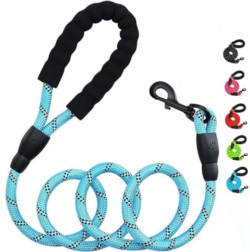 1 laisse pour chien, laisse réfléchissante, laisse de dressage pour chien, laisse en nylon, laisse pour chien de petite et moyenne taille, 2 m (bleu)
