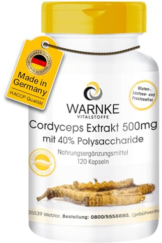 Estratto di Cordyceps 500 mg - 120 capsule, standardizzato al 40% di polisaccaridi, fungo vitale vegano | Warnke Vitalstoffe - Qualità da farmacia tedesca