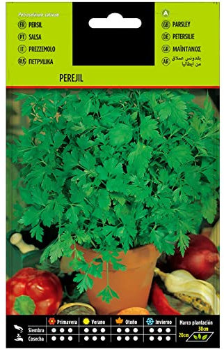Semillas de Perejil | DECOALIVE | Semillas Huerto Urbano | Perejil Común o Perejil Liso