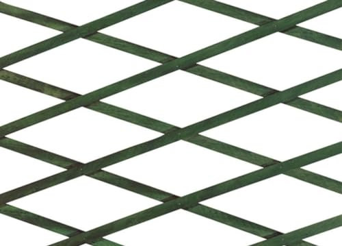 BIANCHERIAWEB Traliccio Estensibile in Legno per Piante Rampicanti Recinzione Giardino Balcone 150x200 Verde