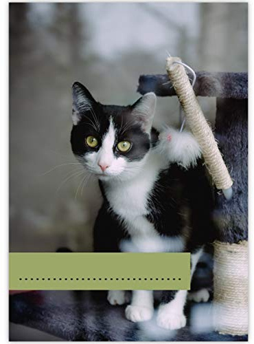4 süße DIN A3 Kinder Malblöcke Katzen Glück • Malblock Zeichenblock Skizzen-block 25 Blatt blanko, kopfverleimt, holzfreies Qualitäts-Papier 100g/m²- für Schule, Basteln, Hobby