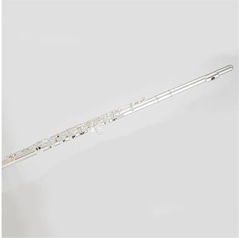 Altflöte, G-Ton, 16 geschlossene Löcher, glatte Klappen, versilbert, modisches professionelles Instrument Flöteninstrument