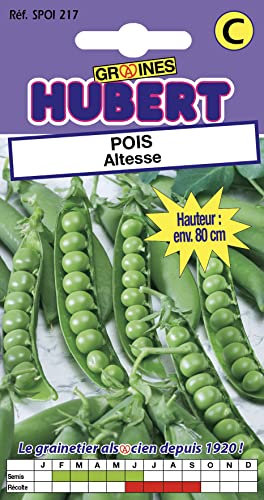 35 Graines de Pois Altesse - Format Petit Jardin