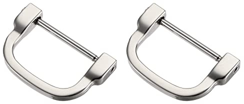 METALLIXITY Horseshoe D-Rings (30mm) 2pcs, Screw-in U-shaped Buckles Shackle - for Car Keys Keychain Bags Leather Crafts, Silver Tone