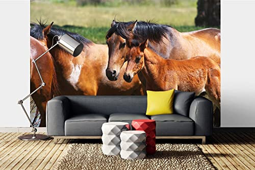 Vlies Fototapete PFERDE MIT JUNGEM FOHLEN 375 x 250 cm (inkl. Kleister) - Vlies Tapete, Wandtapete, Wandbilder - Tapete für Wohnzimmer Schlafzimmer, Büro, Küche - Montagefertig