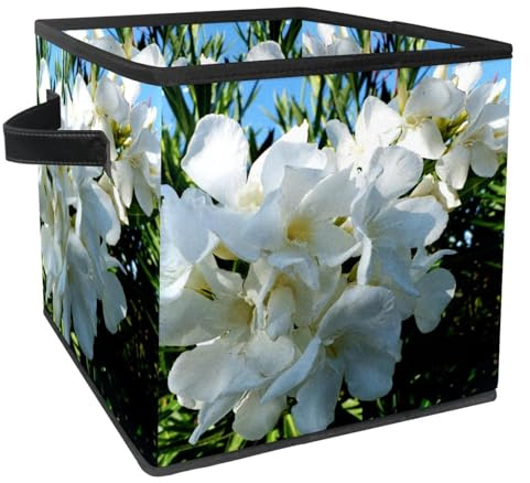 VAPOKF Foldable Storage Box, Fabric Storage Basket, Cube, Organiser, Bins with Handles for Toy, Clothes, Books, Closet, Bedroom, Home - White Oleander