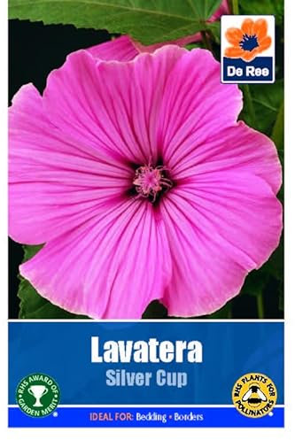 Flower Seeds Lavatera Silver Cup - 70 Seeds Packet Plant Bedding Borders Containers Pots Grow Your Own Garden Plant Seed