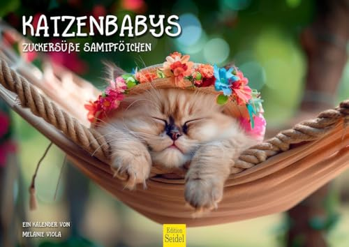 Edition Seidel Calendrier mural 2026 de qualité supérieure - Format DIN A4 - Calendrier mural - Calendrier pour animaux de compagnie - Chaton - Melanie Viola