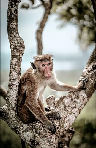 500 Pieces Monkey Resting in The Tree Wooden Jigsaw Puzzles Valentine's Day Gift Challenging Games Adults Toys Gift Family Decoration Puzzles