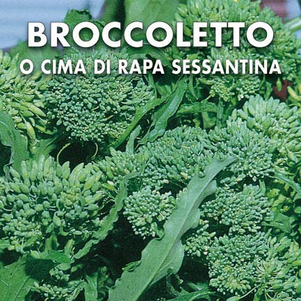 BROCCOLETTO - CIMA DI RAPA SESSANTINA - SEMI
