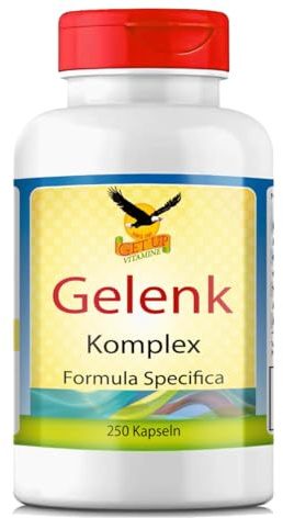 Get UP® MSM Komplex mit Glucosamin, Chondroitin, Hyaluronsäure, Mangan, Molybdän & Vitamin C - 250 Kapseln (50 Tage)