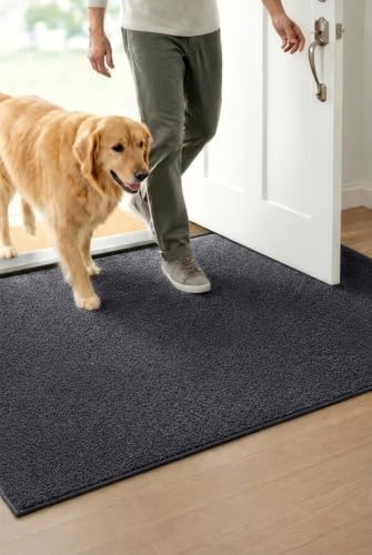 WELLTURN 50×80cm Tappeto Ingresso Interno Antiscivolo e Super Assorbente – Paillasson Lavabile in Morbida Microfibra con Base in Gomma, per Cucina, Bagno, Corridoio, Casa e Animali – Grigio
