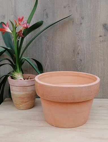 terracotta-toepfe-de Blumentopf Terrakotta ca. 31 cm Außendurchmesser, Blumenkübel für Garten Wohnung Terracotta Pflanzgefäß Mediterran Deko
