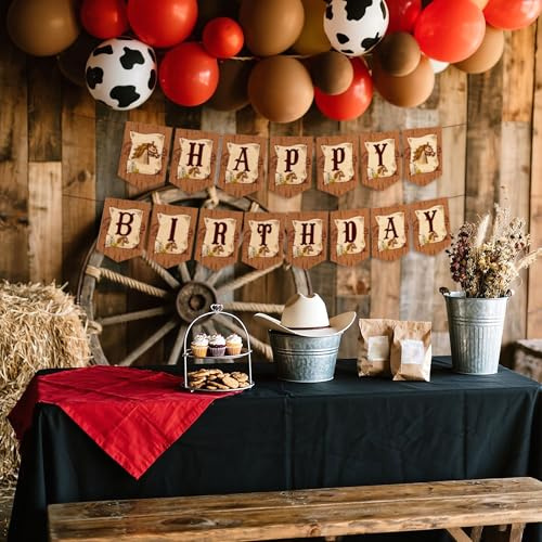 JeVenis vaquero decoraciones de cumpleaños decoraciones del oeste cartel | vaquero decoraciones de cumpleaños decoraciones del oeste cartel feliz cumpleaños viejo oeste último rodeo despedida