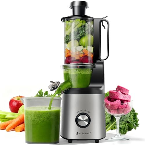 HYSapientia Cold Press Juicer Machines, 250W Slow Masticating Juicer with Wide Feed Chute for Whole Fruit and Vegetables, 1.3L Compact Juicer and Fruit Sorbet Maker, High Juice Yield, Easy Clean