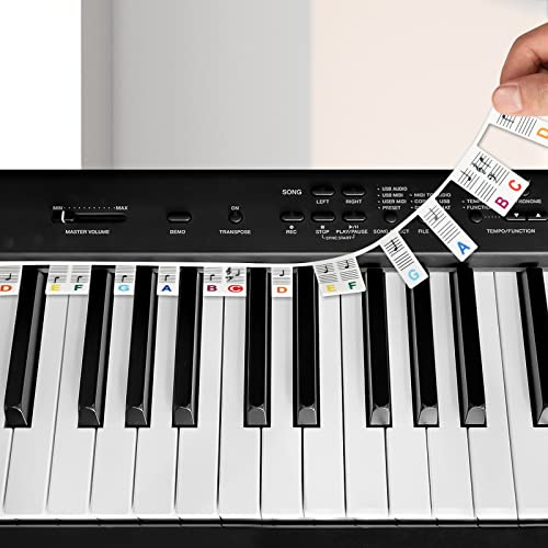 Reusable 88 Key Full Size Silicone Piano Notes Guide with Box (Colorful) | Removable Piano Keyboard Note Labels, No Need Stickers, Keyboard Piano Note Strips, Great Gifts Learning Tool for Beginners