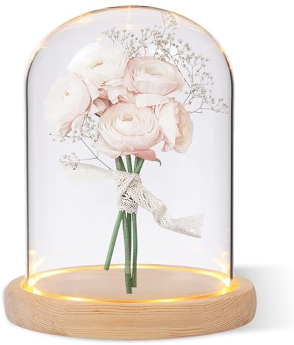 Cloche en Verre avec Socle en Bois Naturel, Mini Cloche en Verre Transparent, Décorative Transparente avec Fond en Bois pour Lumières, Décorations De Table, Antiquités