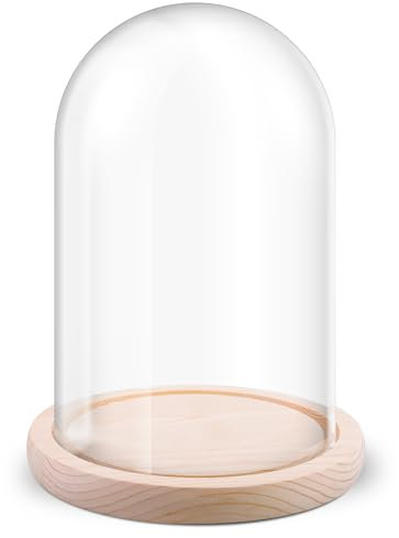 Campana in vetro con fondo in legno, decorazione in vetro con base in legno naturale, 12 x 18 cm, decorazione a cupola in vetro, scatola in vetro trasparente, trasparente e decorativa, regalo per