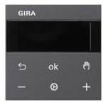 Gira RTR Display 539328
