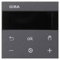 GIRA RTR Display 539328