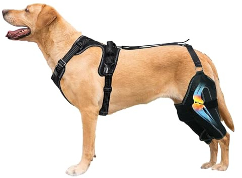 Rodillera para Pata Trasera De Perro con Estabilizadores Metálicos y Arnés
