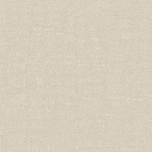 A.S. Création Tapete Einfarbig Hellgrau Grau Nara 387452 Uni Vliestapete 10,05 m x 0,53 m Made in Germany