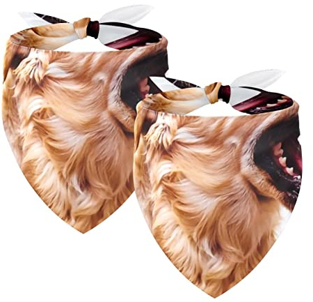Hundehalstücher, 2er-Pack Haustierschal, Haustierzubehör, süße Welpenhalstücher,Golden Retriever Tier