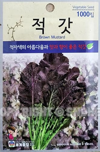 Red Leaf Mustard Seeds Korean, 1 Packs, 2 Grams(적갓)