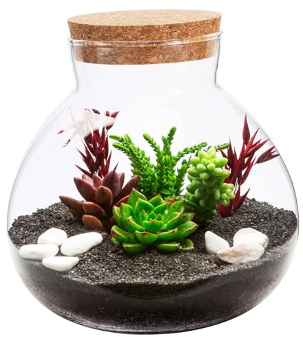 Round Glass Terrarium Jar Bottle: Micro Landscape Cork Lid Canister Accessories for DIY Plant Creations Kitchen Food Storage Home Living Room Table Decoration