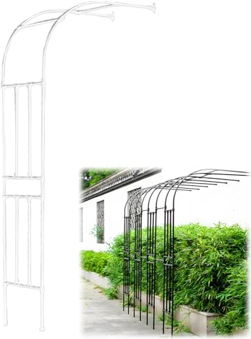 Arche de jardin en métal, pergola d'extérieur pour plantes grimpantes, treillage mural, arche de rose décorative, 60-300 cm de largeur (blanc, 200 x 240 cm)