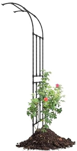 Arche de jardin en métal pour plantes grimpantes, fixation murale, support de plantes d'extérieur pour légumes et fruits, 90 x 240 x 45 cm, finition noire