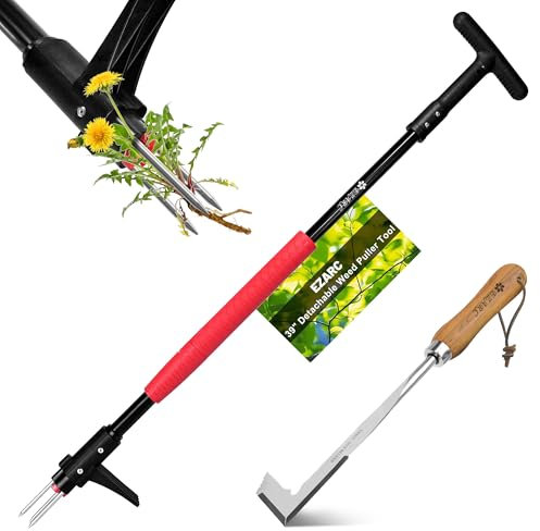 EZARC Unkrautstecher, Länge 100cm, 2tlg Gartenwerkzeug-Set mit Fugenkratzer, Unkrautentferner mit DREI-Kiefer für effizientes Entfernen von Unkraut aus Ecken und Rissen