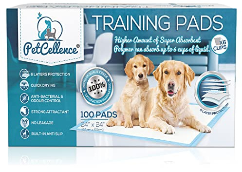 PetCellence Puppy Training Pads - Large 60 x 60cm Super Absorbent Dog Pads - with Advanced 6 Layer Leak Proof Protection - Anti Slip Adhesive Tabs (60 x 60, 100, count)