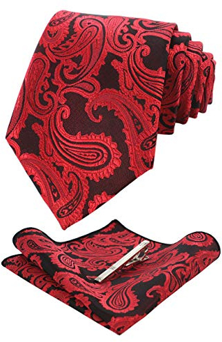 JEMYGINS Graziös Paisley elegant herr slips och rengöringsduk med krawattlammer set