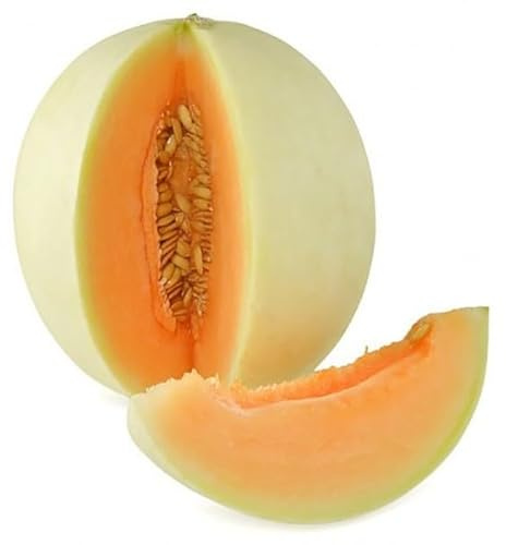 Semi MELONE CANTALUPO In Busta Ermetica MADE IN ITALY Qualità superiore con 95% di germogliazione con istruzioni