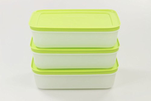 TUPPERWARE Gefrier-Behälter (3) Eis-Kristall Eiskristall 1,0 L grün-weiß flach 29739