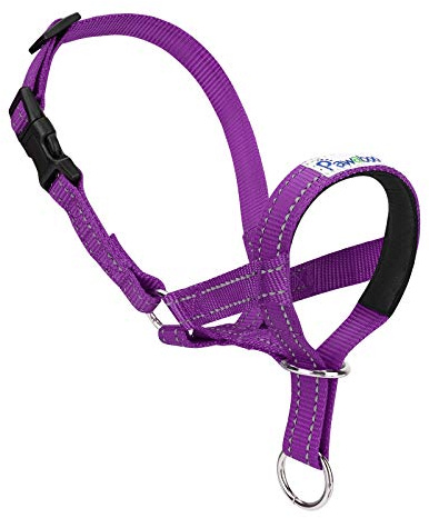 Pawaboo Cavezza da Testa per Cane, Cintura Regolabile Riflettente in Nylon con Museruola e Collare, Taglia S, Viola
