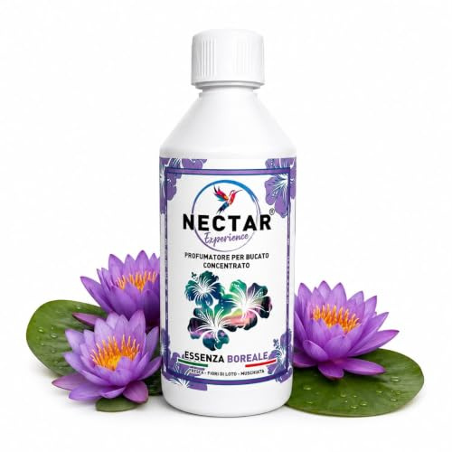 Nectar Experience