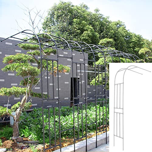 YYHJ Garden Rosenbogen,Torbogen aus Metall,Rosenbögen Halbbogen,Pergola Weintrauben Rankhilfe Rankgitter,für Verschiedene Kletterpflanzen,für Outdoor Party Hochzeitsbogen Bogendekoration