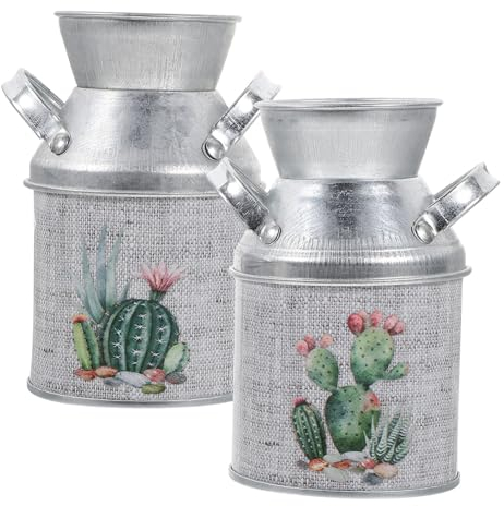 IMIKEYA 2pcs Rustic Flower Vase Vintage Plant Pot Handle Mini Farmhouse Bucket for Home Decor and Events Stable Metal Planter for Flowers