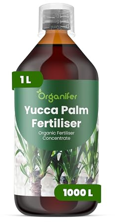 Flüssigdünger Für Yucca-Palmen 1L – Organischer Dünger Für Gesundes Wachstum Und Starke Pflanzen – Fördert Wurzeln Und Widerstandskraft – Organifer