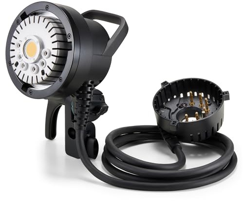 Godox AD-H600P 600W Flash Head Protable Off-Camera Light Lamp for Godox | for Godox Witstro AD600 pro AD600Pro II AD600BM II (Bowens Mount)