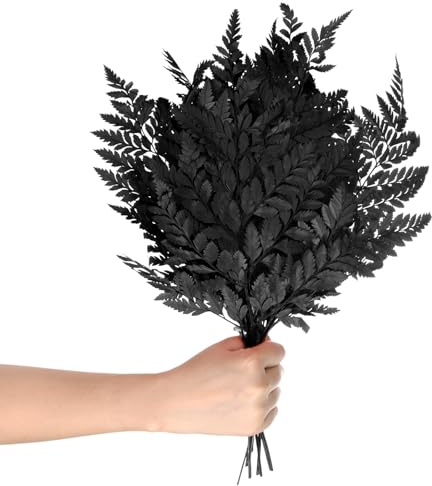 M METERXITY Paquete de 10 Helechos, 15 Follaje Natural Seco con Tallos para Guirnalda de Boda/Ramo de Casa/Fiestas DIY, Plantas Secas [Negro]
