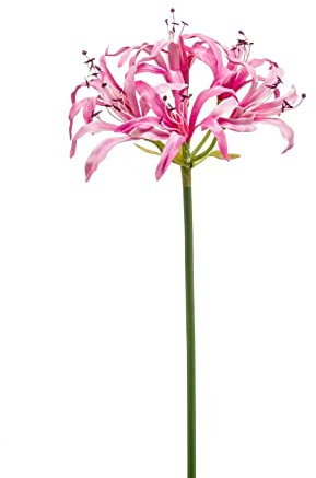 artplants.de Deko Gartenamaryllis BAIMAI, rosa, 75cm - Künstliches Amaryllis