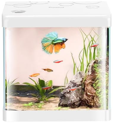 Small Fish Tank,5 Gallon Glass Aquarium Betta Fish Tank Starter Kit with Filter and LED Light.（White）