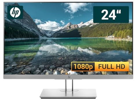 HP EliteDisplay E243 23,8 Zoll Business Computer Monitor, Desktop Gaming Monitor, Full HD (VGA - DisplayPort - HDMI - VESA), PC Bildschirm, Schwarz/Silber (Generalüberholt)